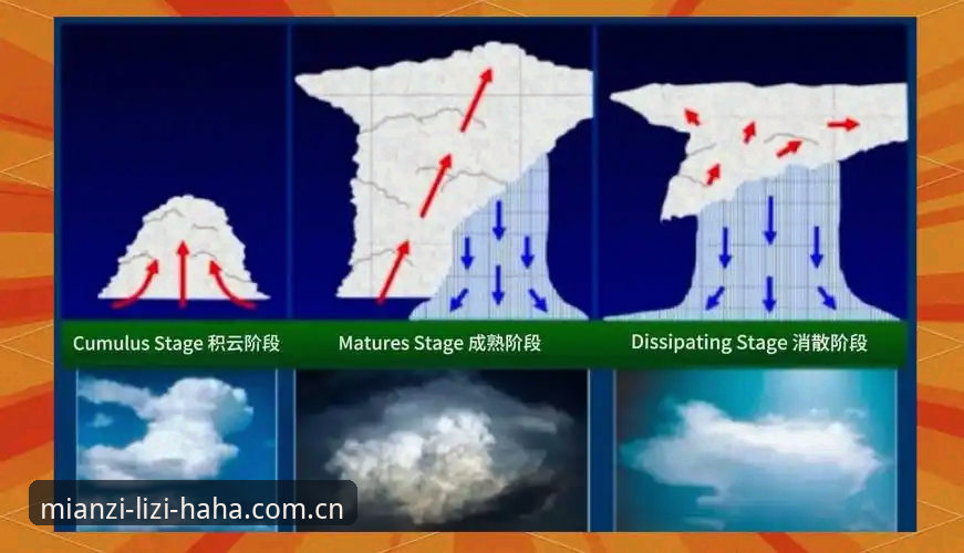 雷暴下的90分钟：法国对阵伊拉克天气应急预案实操指南
